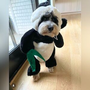 PANDA BEAR DOG COSTUME BY PANDALOON